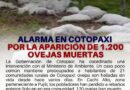 Alarma en Cotopaxi por la aparición de 1.200 ovejas muertas